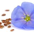Pourquoi consommer quotidiennement des graines de lin?